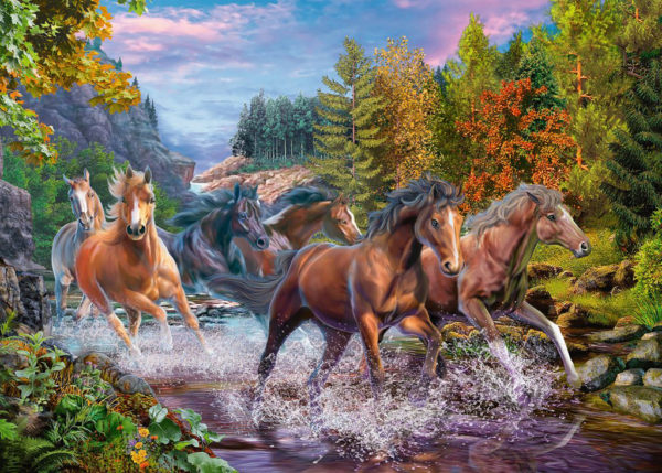 Rushing River Horses