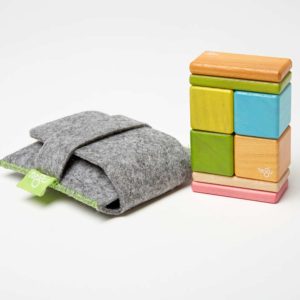 8 piece Pocket Pouch - Tegu Tints