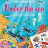 Little Transfer Book, Under The Sea