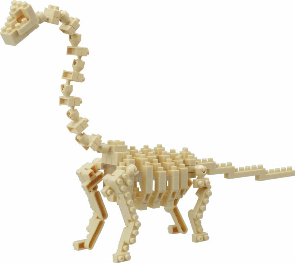 Nb Brachiosaurus Skel Model