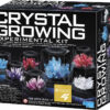 Crystal Growing Experiment (6)