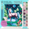 Paint by Numbers Moonlit Unicorn