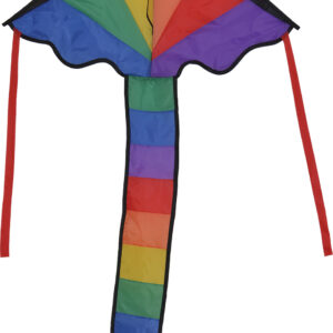 Mini Rainbow Fly-Hi Kite