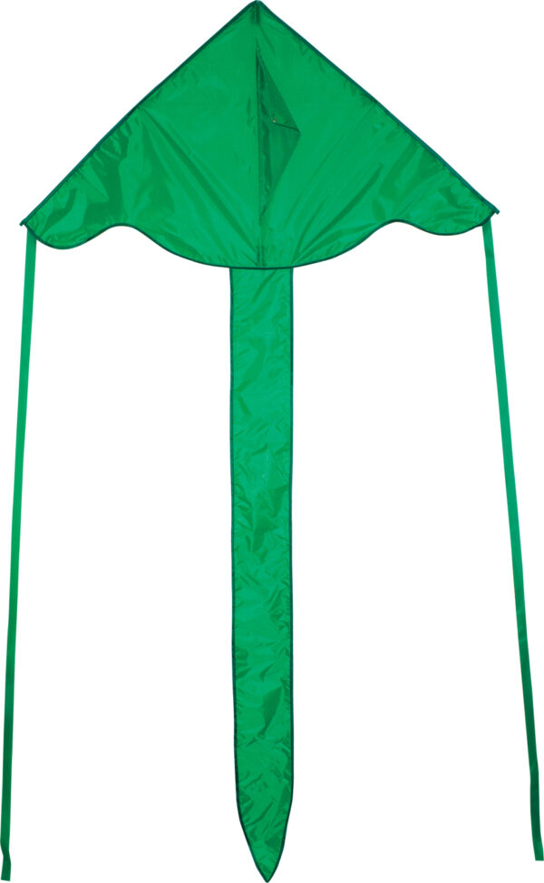 Green Colorfly 43" Fly-Hi Kite