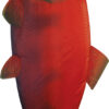 Sockeye Salmon 48" Fish Windsock