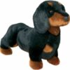 Spats Black and Tan Dachshund