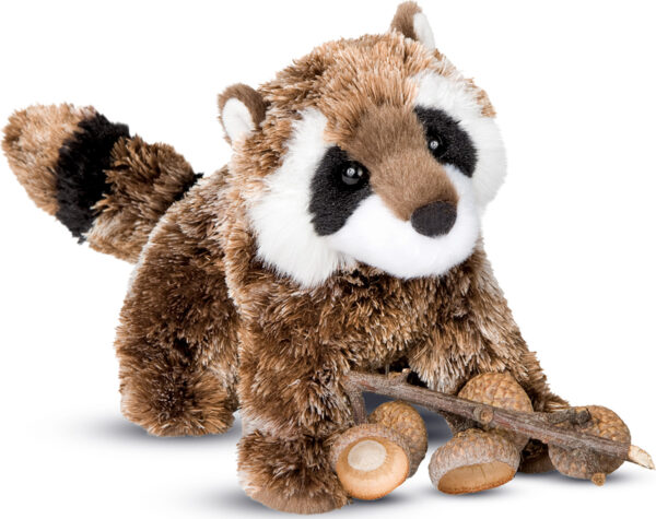 Patch Raccoon