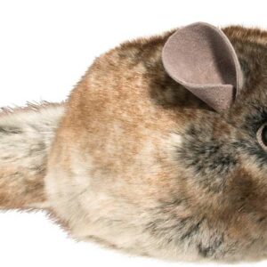 Camilla Chinchilla