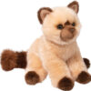 Mitzy Himalayan Cat