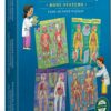 Ready to Learn - Human Anatomy 4-Puzzle 48 Piece Set