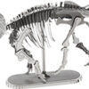 Triceratops Skeleton