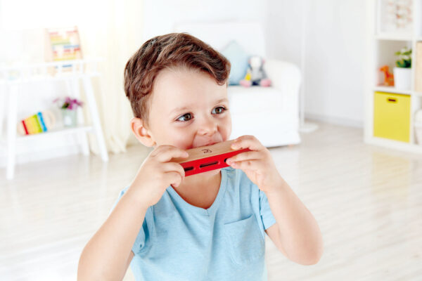 Blues Harmonica