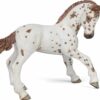 Papo France Brown Appaloosa Foal