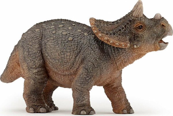 Papo France Young Triceratops