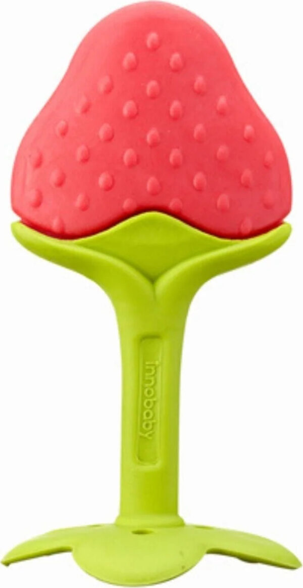 EZ Grip Fruit Teether (Berry)