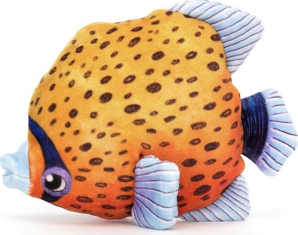 Fishiful Orange