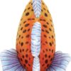 Fishiful Orange