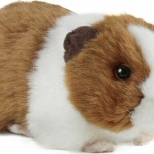 Brown Guinea Pig with Sound