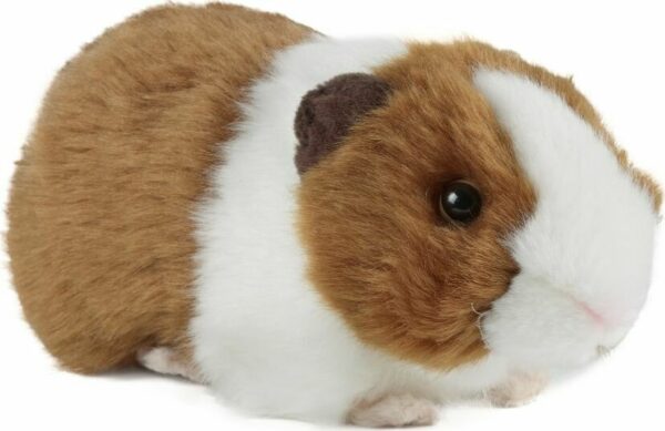 Brown Guinea Pig with Sound