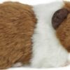 Brown Guinea Pig with Sound