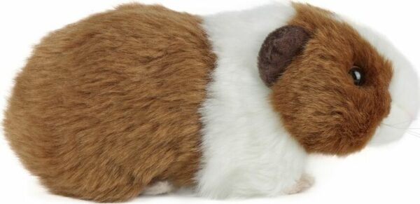 Brown Guinea Pig with Sound