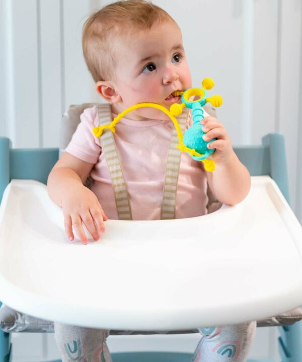 Gumlii Teether Rattle