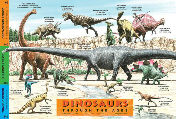 Dinosaurs Placemat