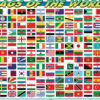 Flags of the World Placemat