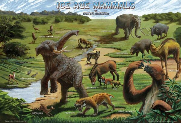 Ice Age Mammals Placemat