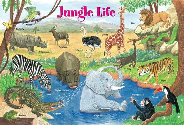 Jungle Life Placemat