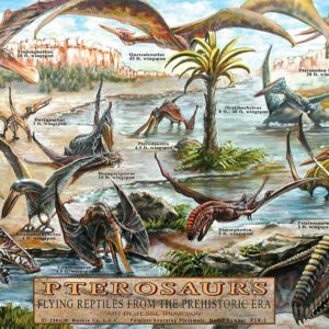 Pterosaurs Dinosaurs Placemat