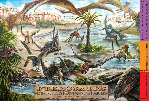 Pterosaurs Dinosaurs Placemat