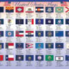 United States State Flags Placemat