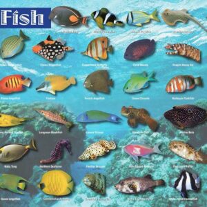 Saltwater Fish Placemat