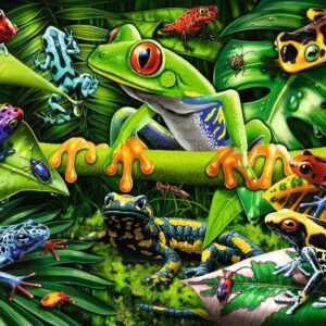 Amazing Amphibians