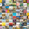 99 Bicycles (1500 pc Puzzle)