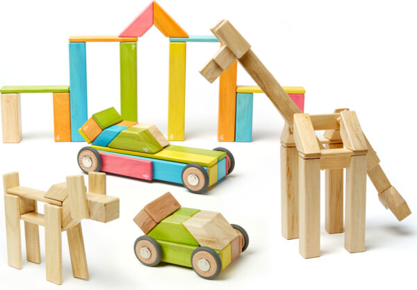 Tegu Classics: 42-Piece Set Magnetic Wooden Blocks (TINTS)