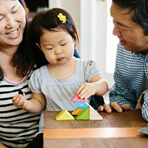 Original Tegu Pocket Pouch Magnetic Wooden Blocks - TINTS (8 pcs)