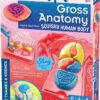 Gross Anatomy: Make-your-own Squishy Human Body