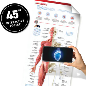 VR Discovery Box - Human Body!