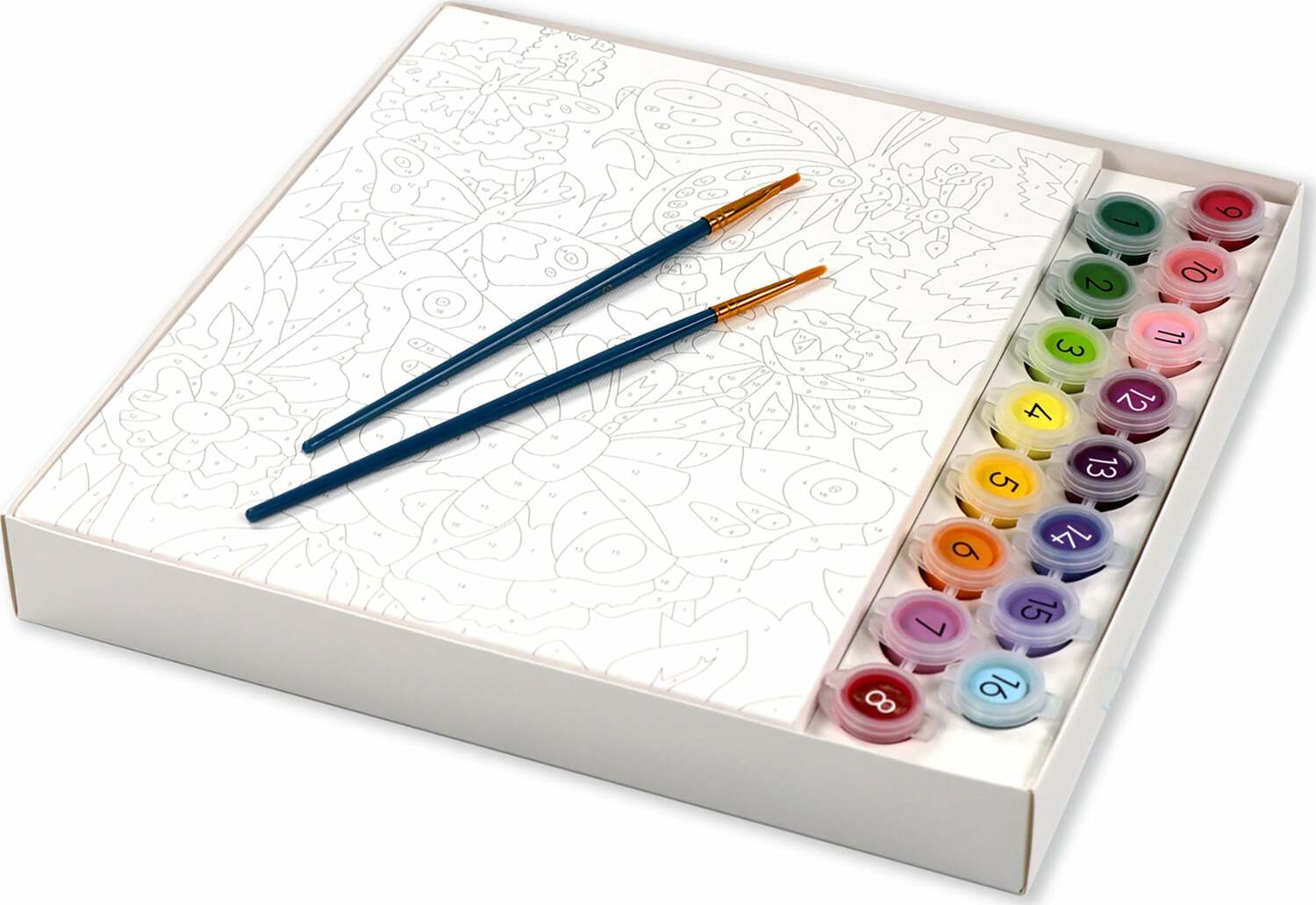 Paint By Numbers- Butterflies + Blooms