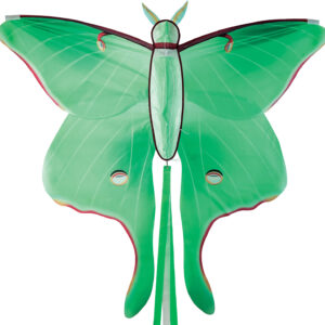 Luna Moth Kite