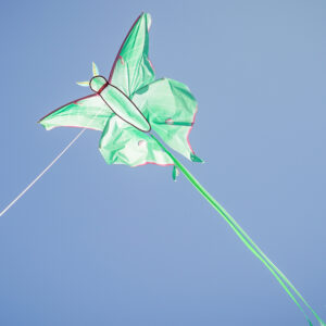 Luna Moth Kite
