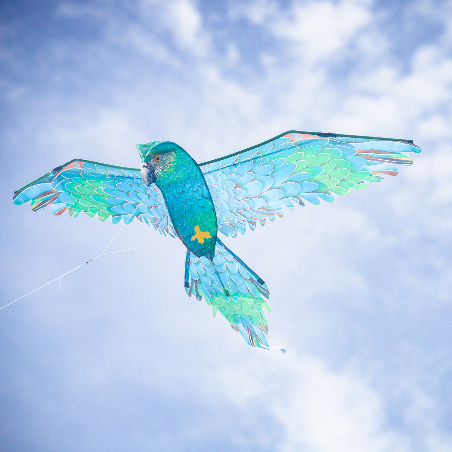 3D Blue Parrot Kite
