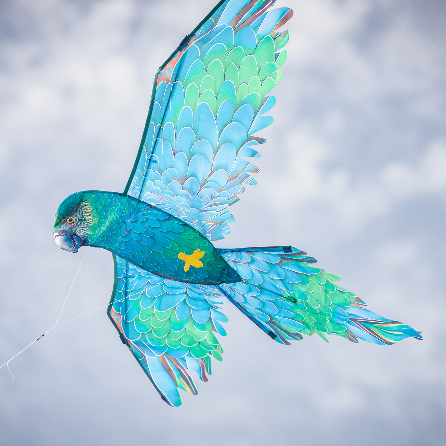 3D Blue Parrot Kite
