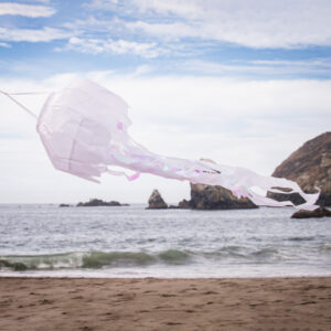 40-inch White Iridescent Jellyfish 3D Windsock