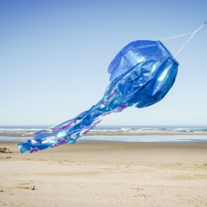 50-inch Blue Iridescent Jellyfish 3D Windsock