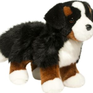 Stevie Bernese Mountain Dog