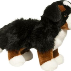 Stevie Bernese Mountain Dog