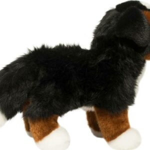 Stevie Bernese Mountain Dog